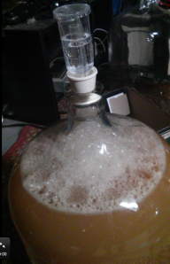 Cider under primary fermentation.